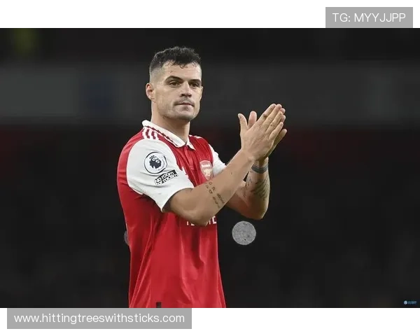 扎卡比赛阅读能力持续提升，中场组织表现稳健