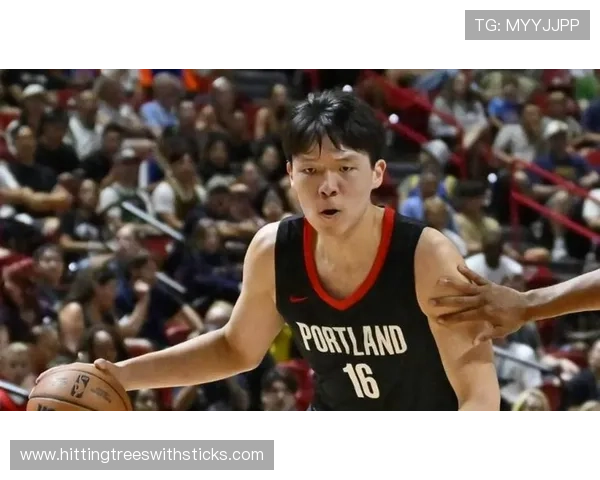 球员本赛季出场次数持续提升，表现稳健