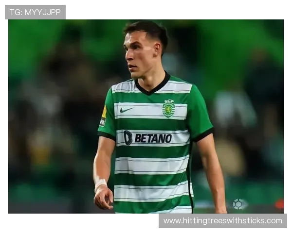 乌加特从费马利康到葡萄牙体育的跃迁路径解析