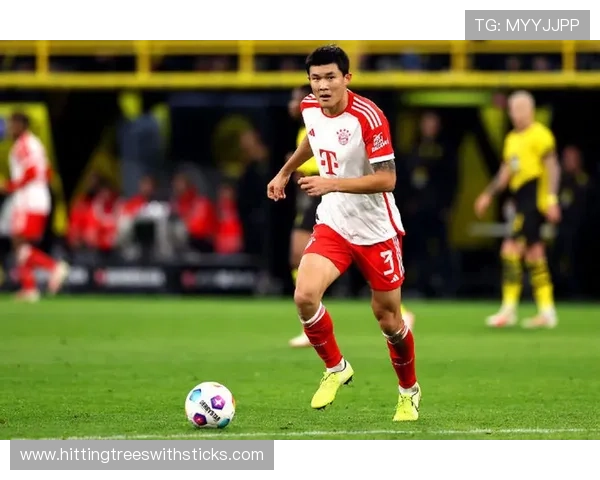 金玟哉:亚洲中卫冲击世界顶级的路径解析 金玟哉:亚洲中卫冲击世界顶级的路径解析