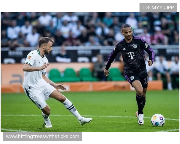 凯恩是否被严重低估？数据与比赛影响力全面分析