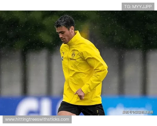 多特蒙德节奏问题凸显，中场缺乏组织核心影响进攻流畅性