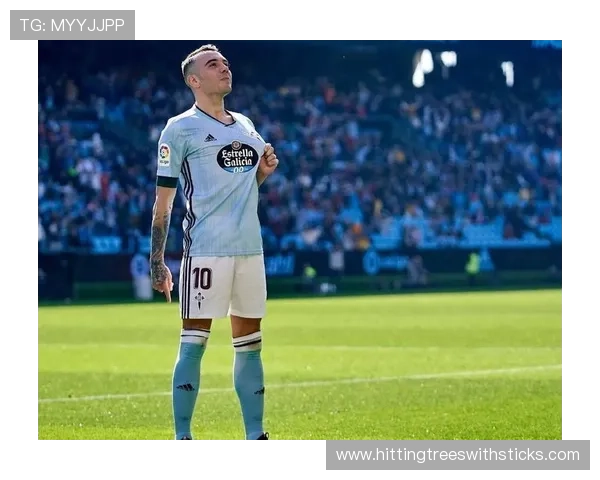 阿斯帕斯本赛季进攻风格分析：跑位灵活射术稳定