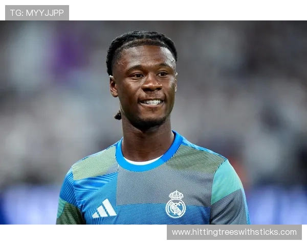 卡马文加评价两极分化：战术角色与比赛影响力解析