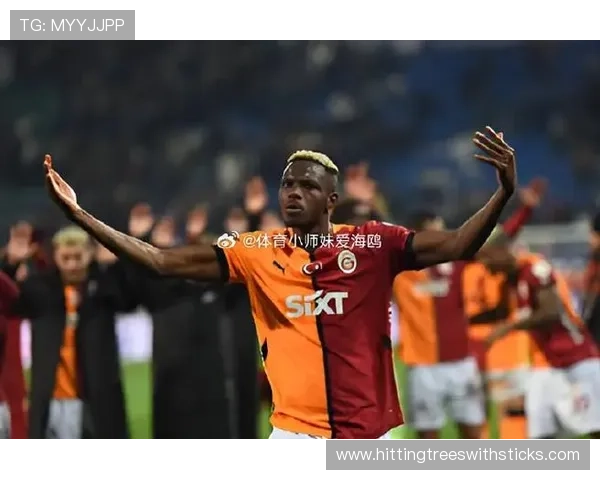 弗拉霍维奇与奥斯梅恩：意甲中锋战术角色对比分析