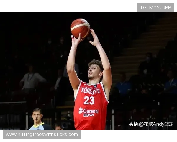 申京高位策应提升内线效率，较约基奇更侧重背身终结