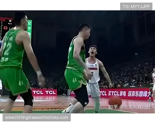 技术犯规的判罚标准与实战应用详解
